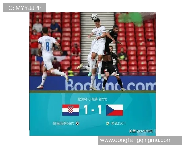 塞燃佣与法国的较量:一场文化与实力的碰撞与对抗