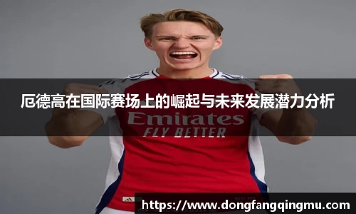 厄德高在国际赛场上的崛起与未来发展潜力分析